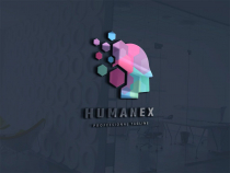 Human Pixel Data Logo Screenshot 2