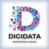 Digital Data Letter D Logo