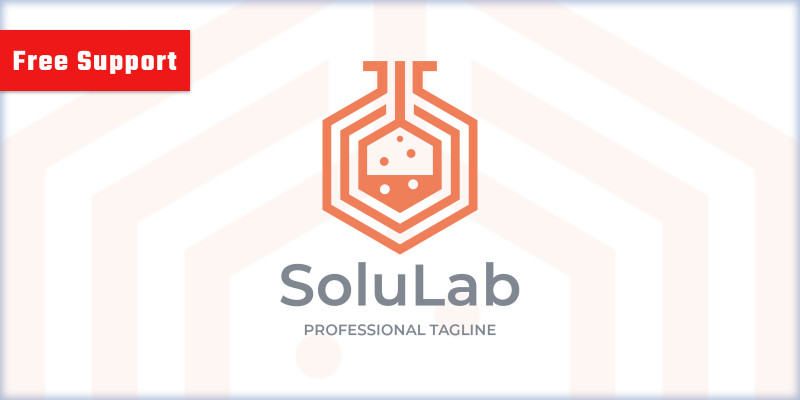 Solution Lab Company Logo