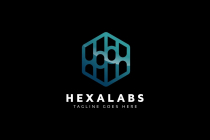 Hexagon labs Logo Screenshot 2