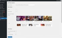 GetTube - WordPress YouTube Gallery Plugin Screenshot 4