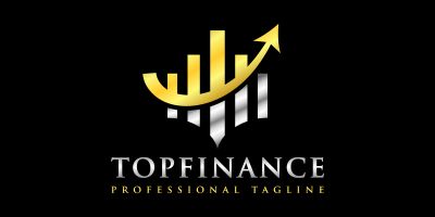 Luxurious Top Business Financial Logo Design