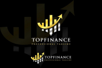 Luxurious Top Business Financial Logo Design Screenshot 1