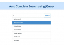 Auto Complete Search using jQuery Screenshot 1
