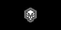 Cube Lion Logo Screenshot 2