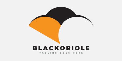 Black-hooded Oriole Bird Logo