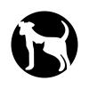 Paw and More Logo