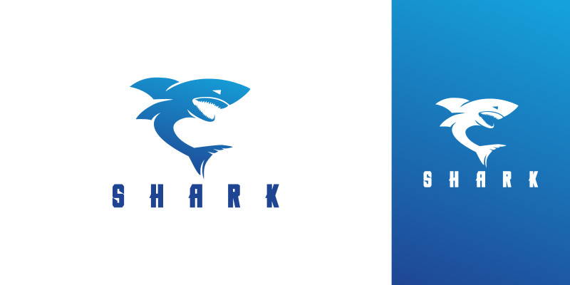 Shark Creative Vector Logo