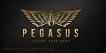Pegasus Logos Screenshot 2