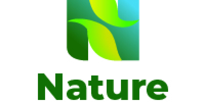 Letter N nature Logo