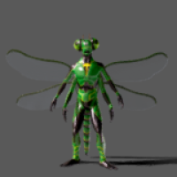 Dragon Fly 3D Model