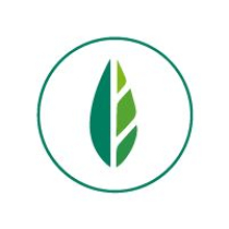 Leaf Logo Design Screenshot 2