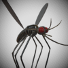 mosquito-3d-object