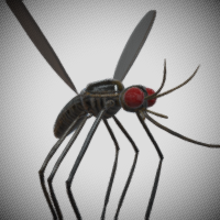 Mosquito 3D Object