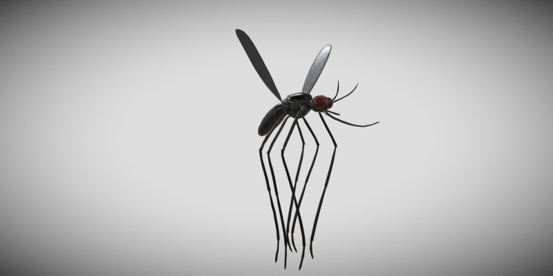 Mosquito 3D Object