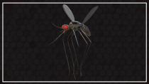 Mosquito 3D Object Screenshot 1