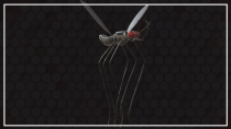 Mosquito 3D Object Screenshot 3
