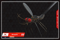 Mosquito 3D Object Screenshot 15