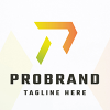 Pro Brand Letter P Logo