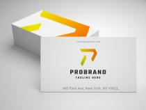 Pro Brand Letter P Logo Screenshot 1