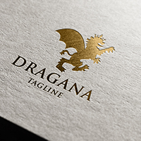 Dragon Pro Logo