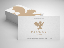 Dragon Pro Logo Screenshot 1
