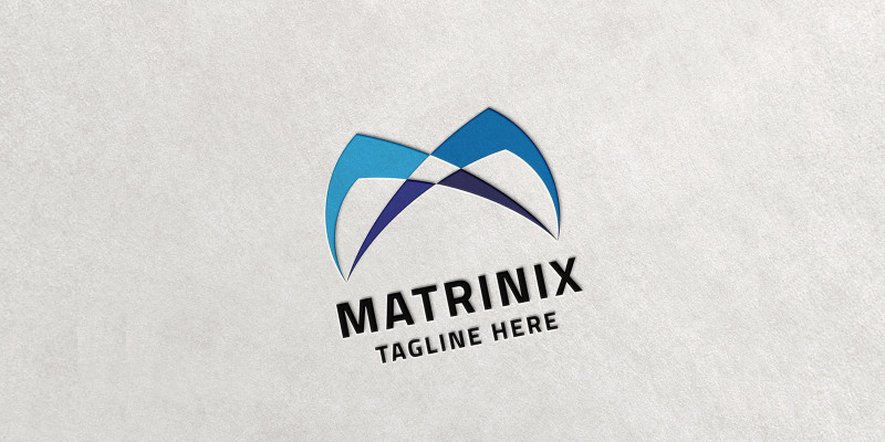 Matrinix Letter M Logo