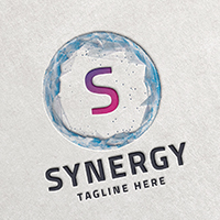 Synergy Letter S Logo Temp