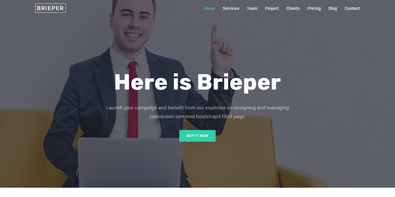 Brieper - Multipurpose HTML Landing Page Template