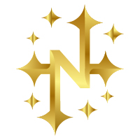  North N Letter Logo