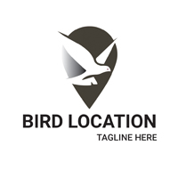  Bird Location Logo Design
