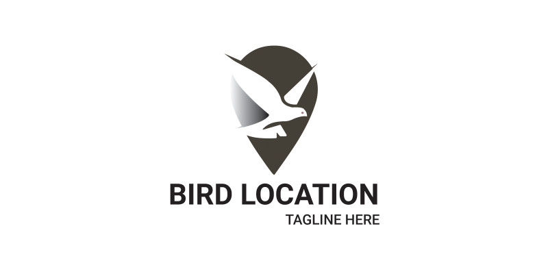  Bird Location Logo Design