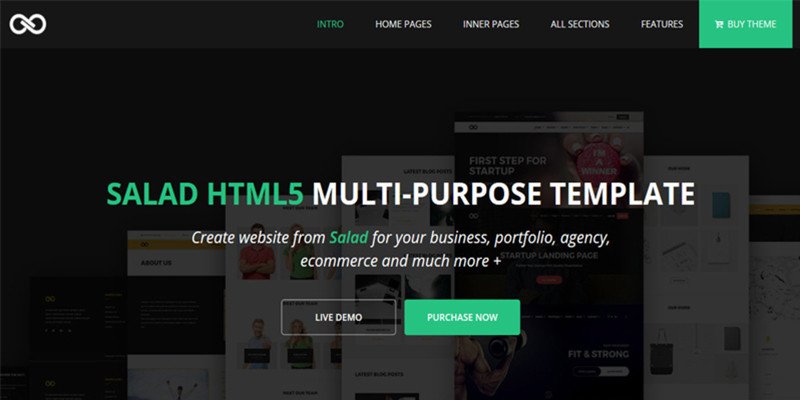 Salad – Multipurpose HTML Template
