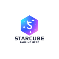 Star Cube Letter S Logo