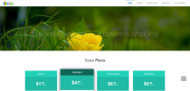 tinyBiz - Business CRM SAAS Platform Screenshot 8