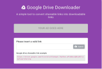 Google Drive Downloader - PHP Script Screenshot 1