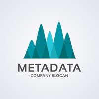 Meta Data Letter M Pro Logo