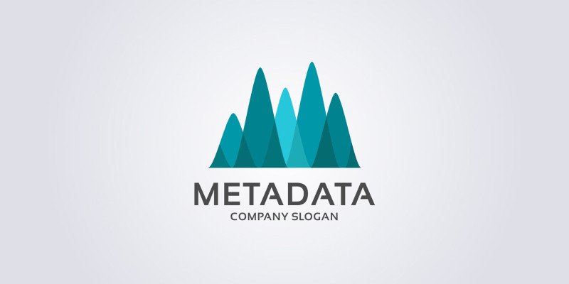 Meta Data Letter M Pro Logo