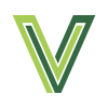Modern Minimalist V Letter Logo Design