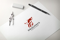 Pixel Dragon Logo Screenshot 2