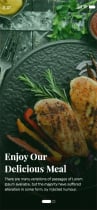 Vegan Meal Plan App - Adobe XD Mobile UI Kit  Screenshot 2