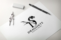 Dragonte Letter D Logo Screenshot 2