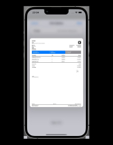 Invoice Maker App - SwiftUI Full iOS Application Screenshot 3