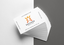 Human Success Logo Screenshot 2
