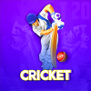 Fancy Live Cricket Score - Android App