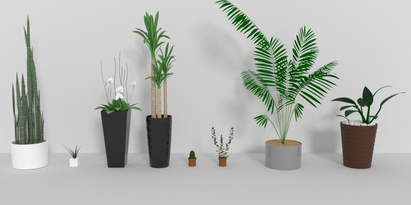 3D Indoor pot plants Model for Gaming