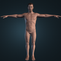 3D  Male Gaming Character Low Poly Model