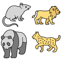 Animal and Mammal Vector 