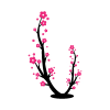 Cherry Blossom sakura Logo design