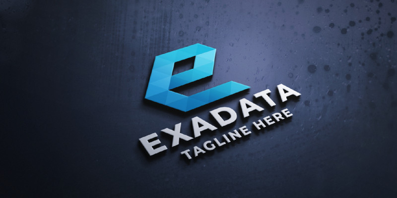 Exa Data Letter E Pro Logo Template